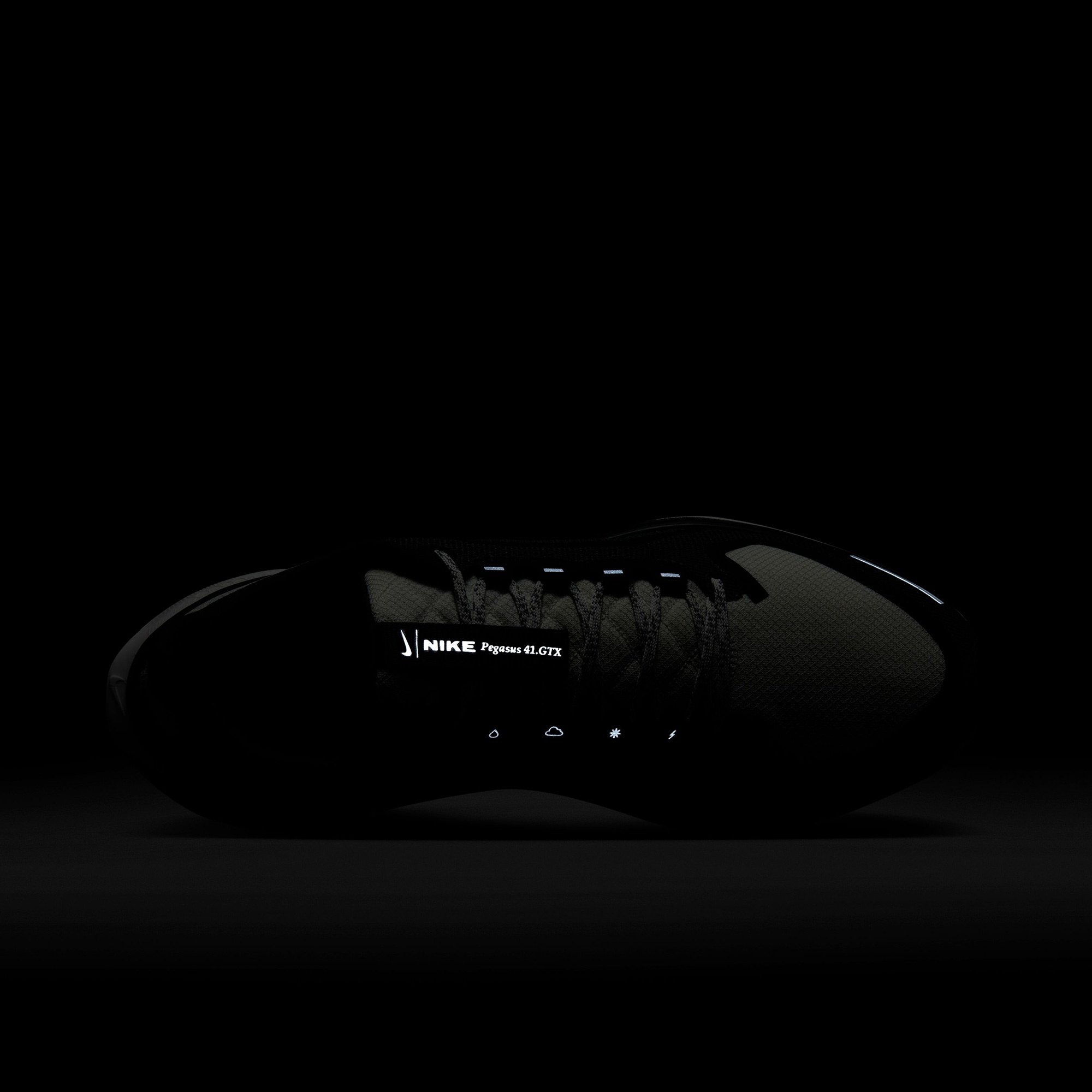 Nike Pegasus 41 GORE-TEX Erkek Siyah Koşu Ayakkabısı