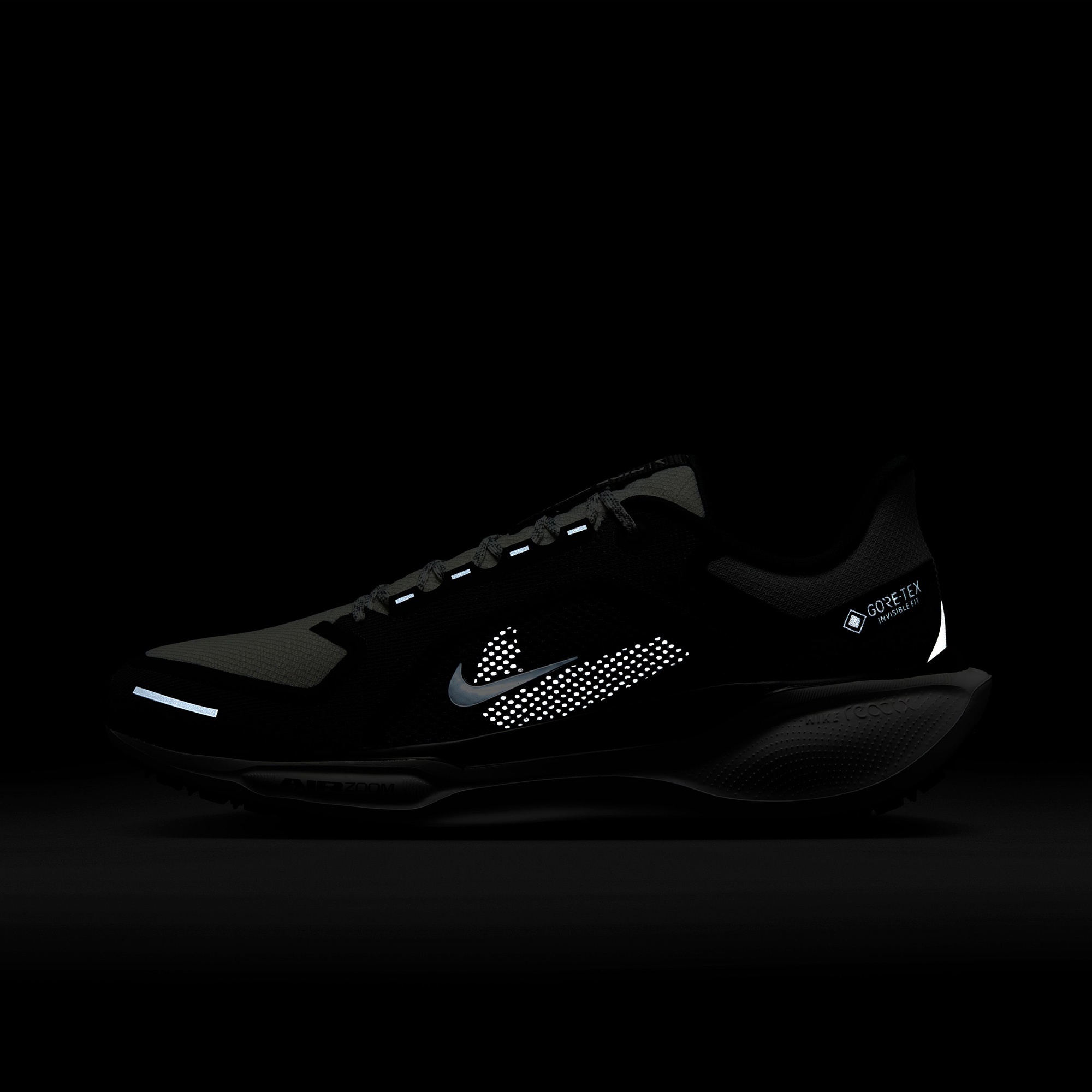 Nike Pegasus 41 GORE-TEX Erkek Siyah Koşu Ayakkabısı