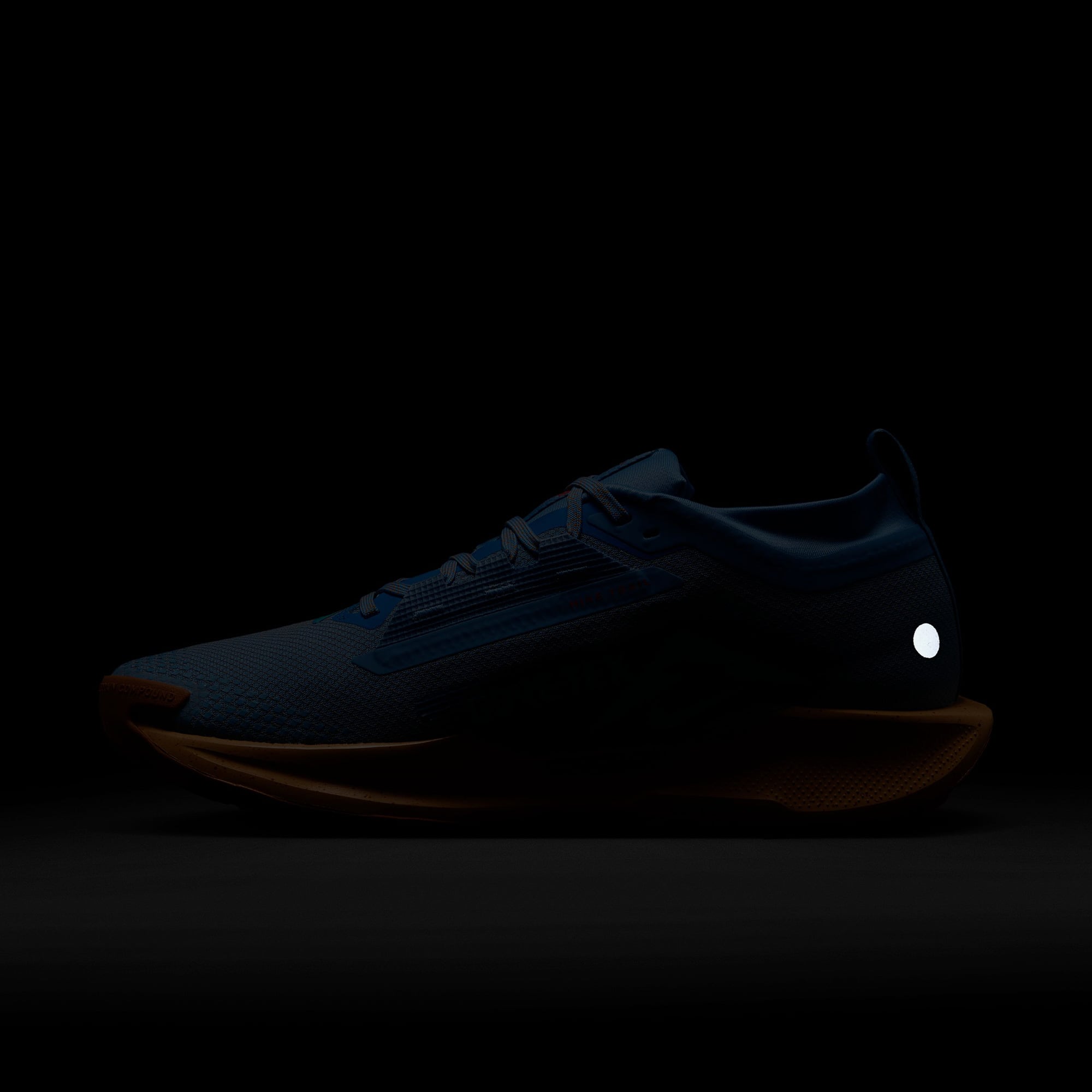 Nike Nike Pegasus Trail 5 GORE-TEX Erkek Mavi Koşu Ayakkabısı Sneaker | FashFed Mavi - 11. görsel