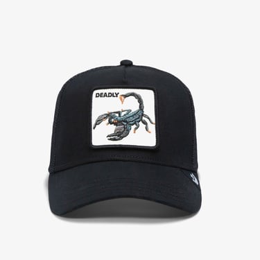  Goorin Bros Deadliest Scorpion Unisex Siyah Şapka