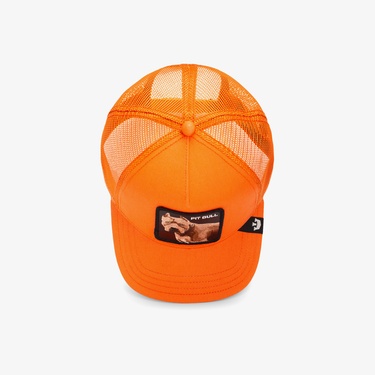  Goorin Bros The Dog Pitbull Unisex Turuncu Şapka