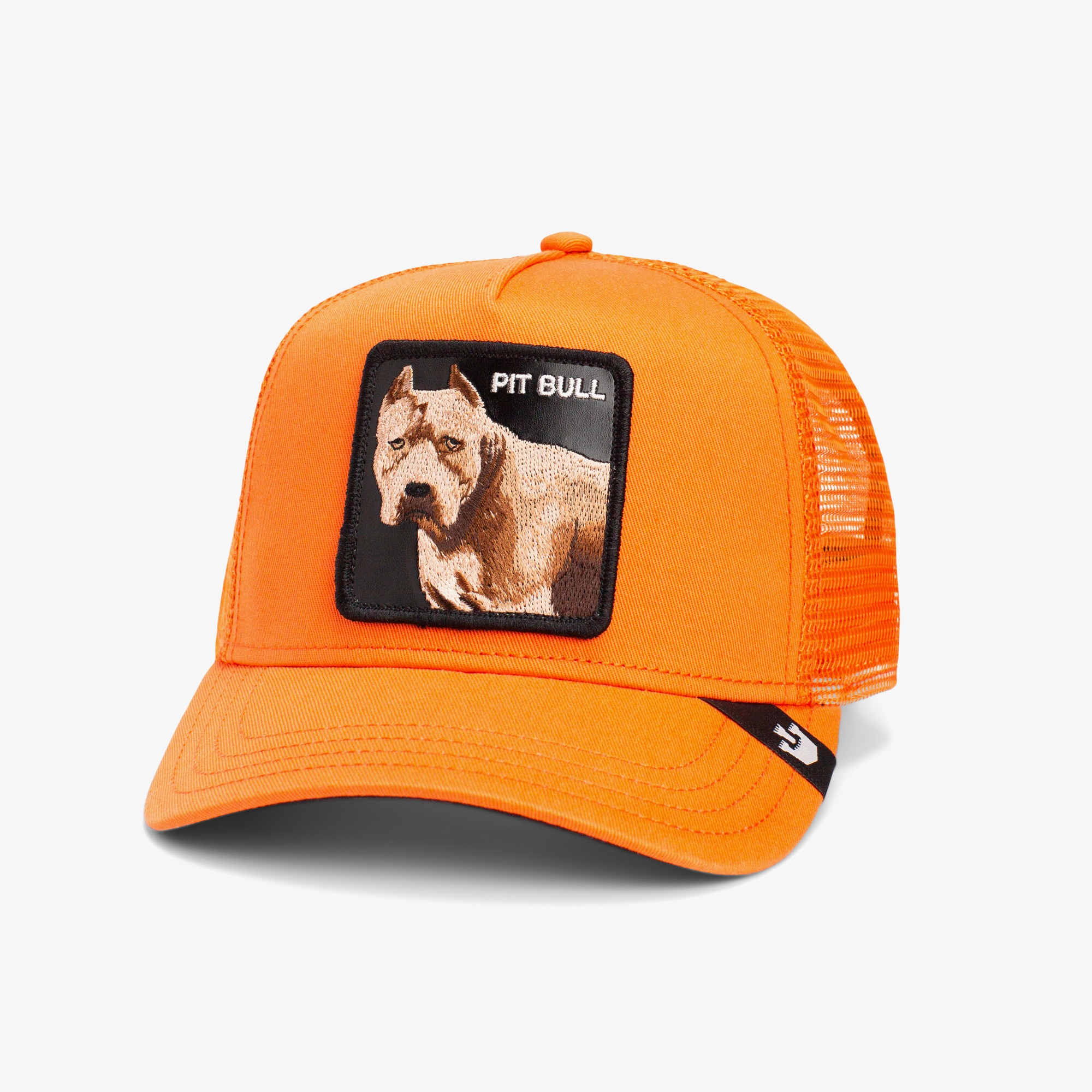 Goorin Bros The Dog Pitbull Unisex Turuncu Şapka
