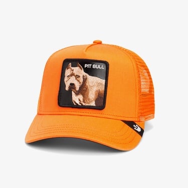  Goorin Bros The Dog Pitbull Unisex Turuncu Şapka