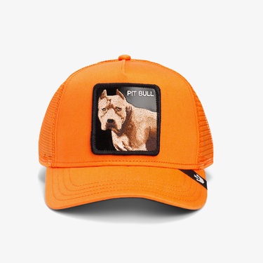  Goorin Bros The Dog Pitbull Unisex Turuncu Şapka