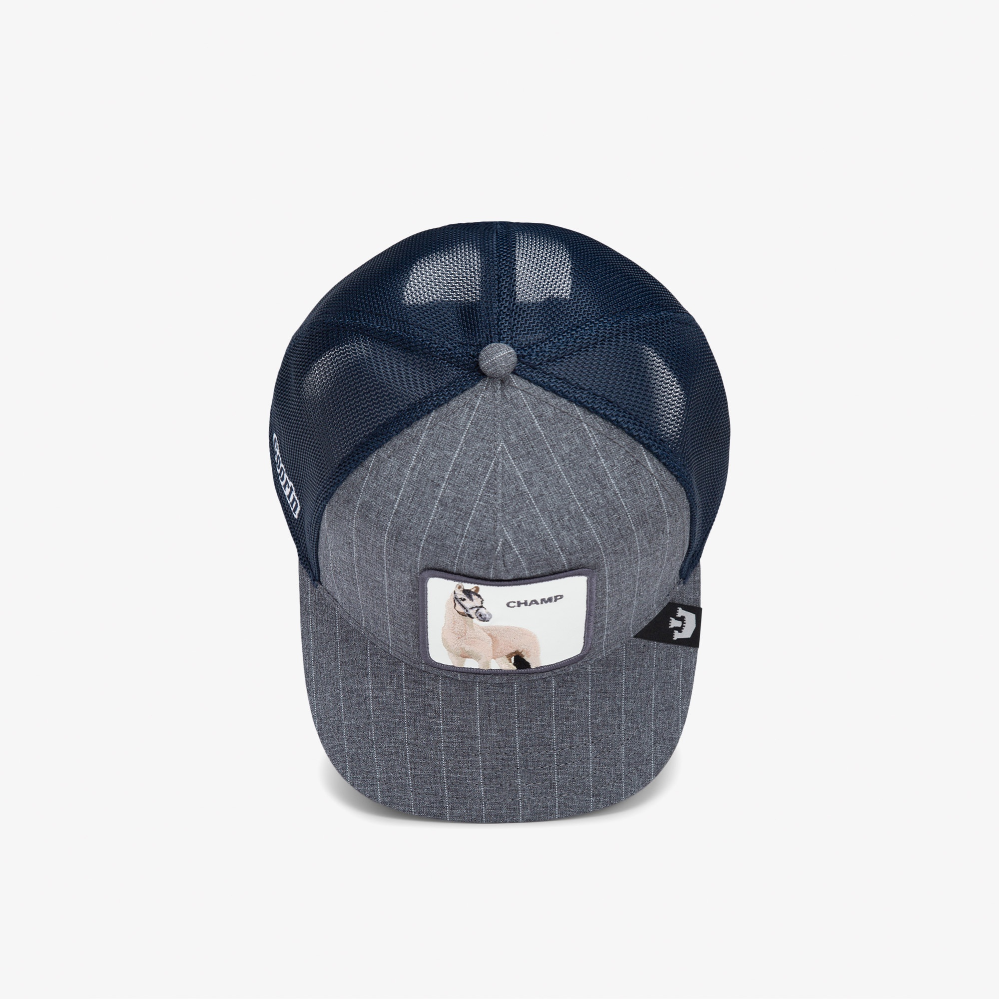 Goorin Bros Suited Champ Unisex Lacivert Şapka