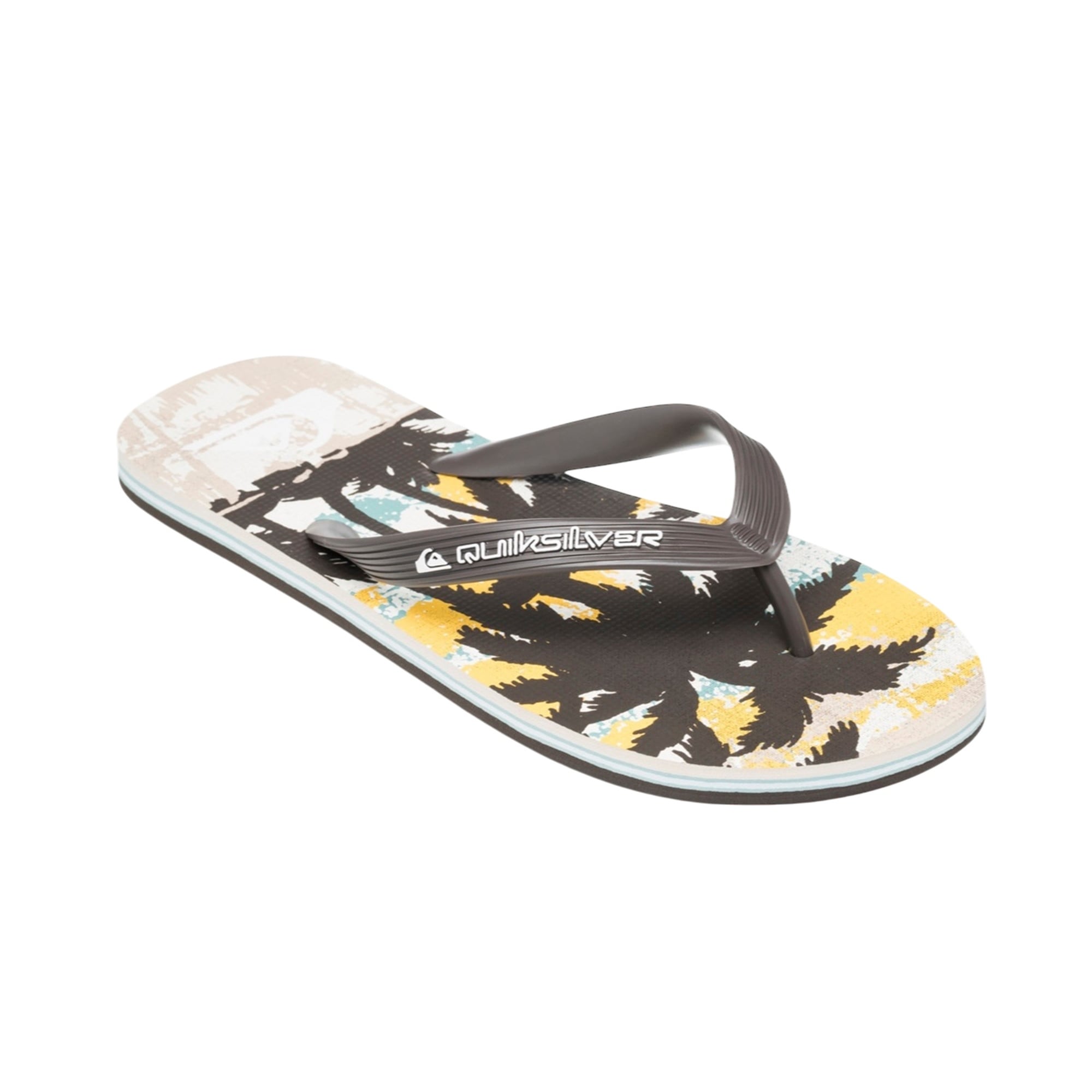 Quiksilver Molokai Art 25 Erkek Terlik