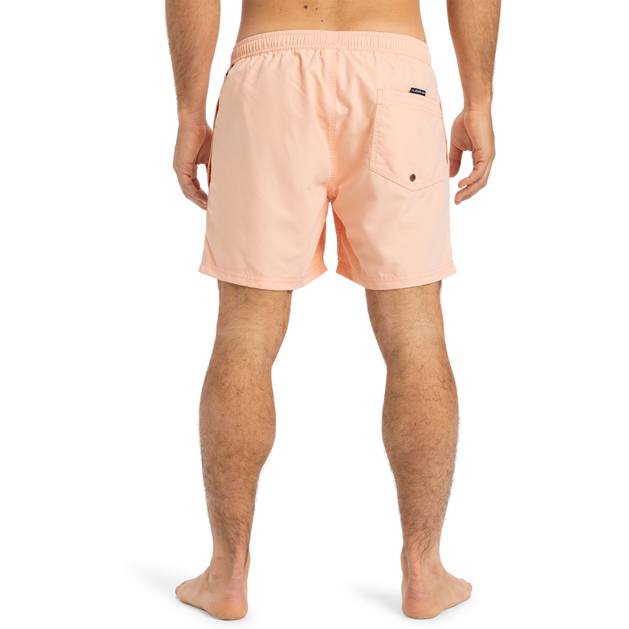 Quiksilver Spl Fineline 15 Erkek Volley Short