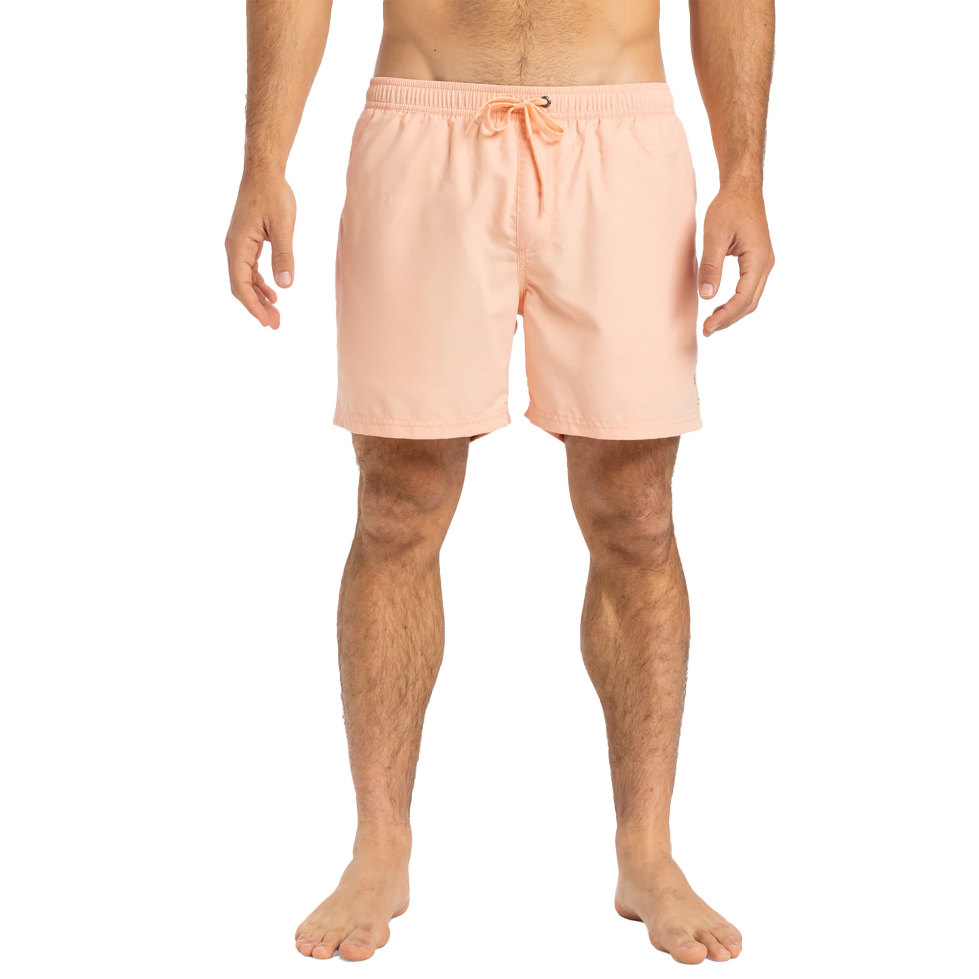 Quiksilver Spl Fineline 15 Erkek Volley Short
