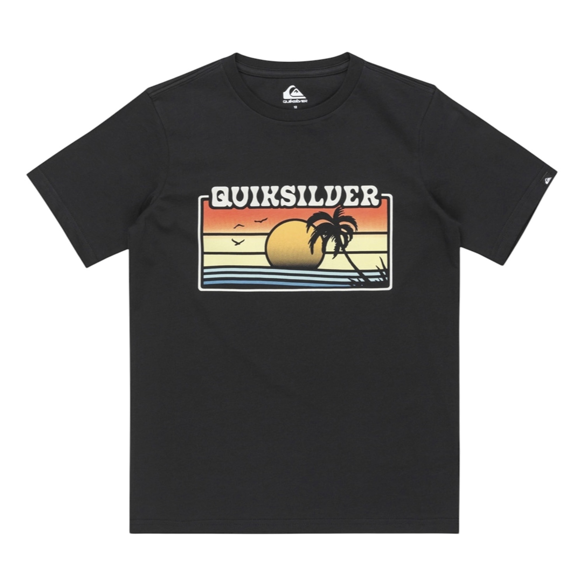 Quiksilver Ev Sun Faded Yth Erkek Çocuk Siyah Tişört