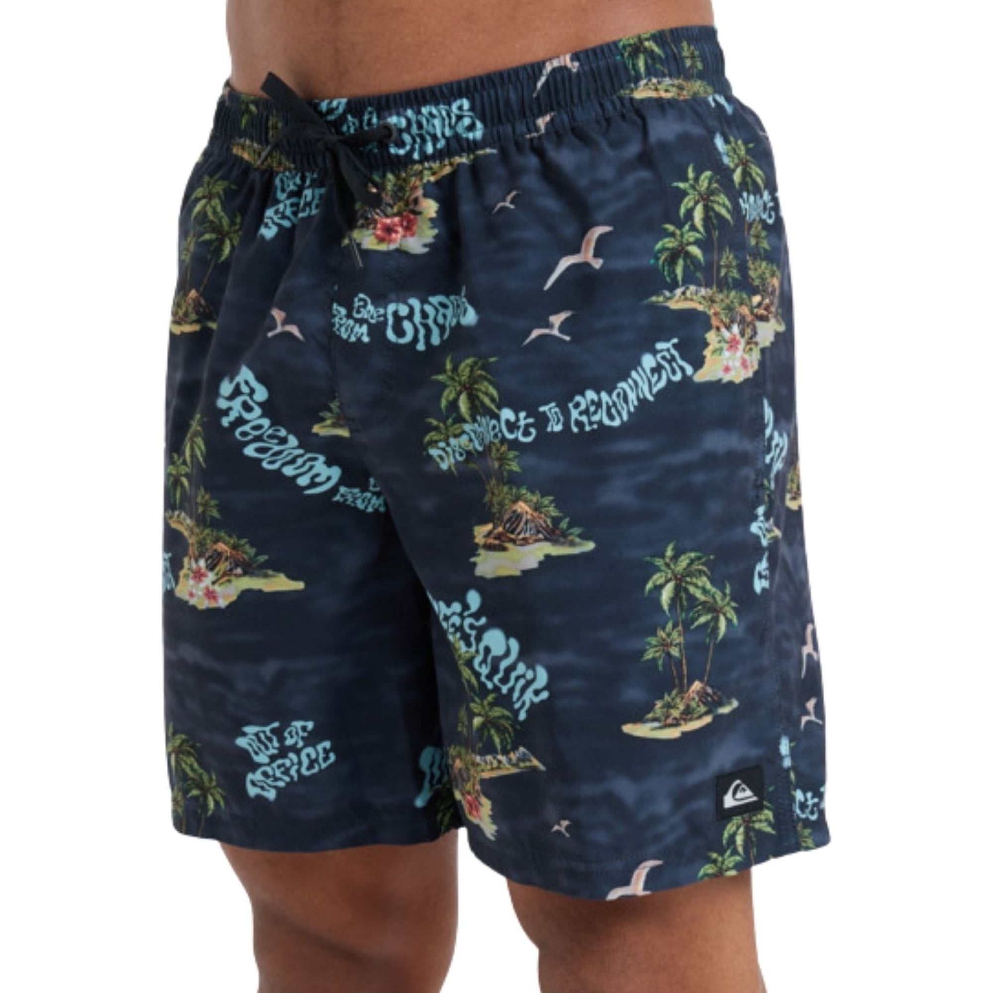 Quiksilver Everyday Straight 17 Erkek Siyah Volley Short