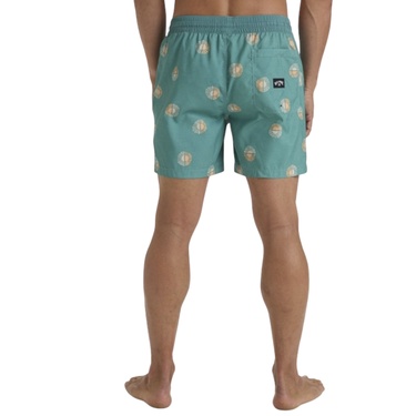  Billabong Vacay Lb Erkek Yeşil Volley Short