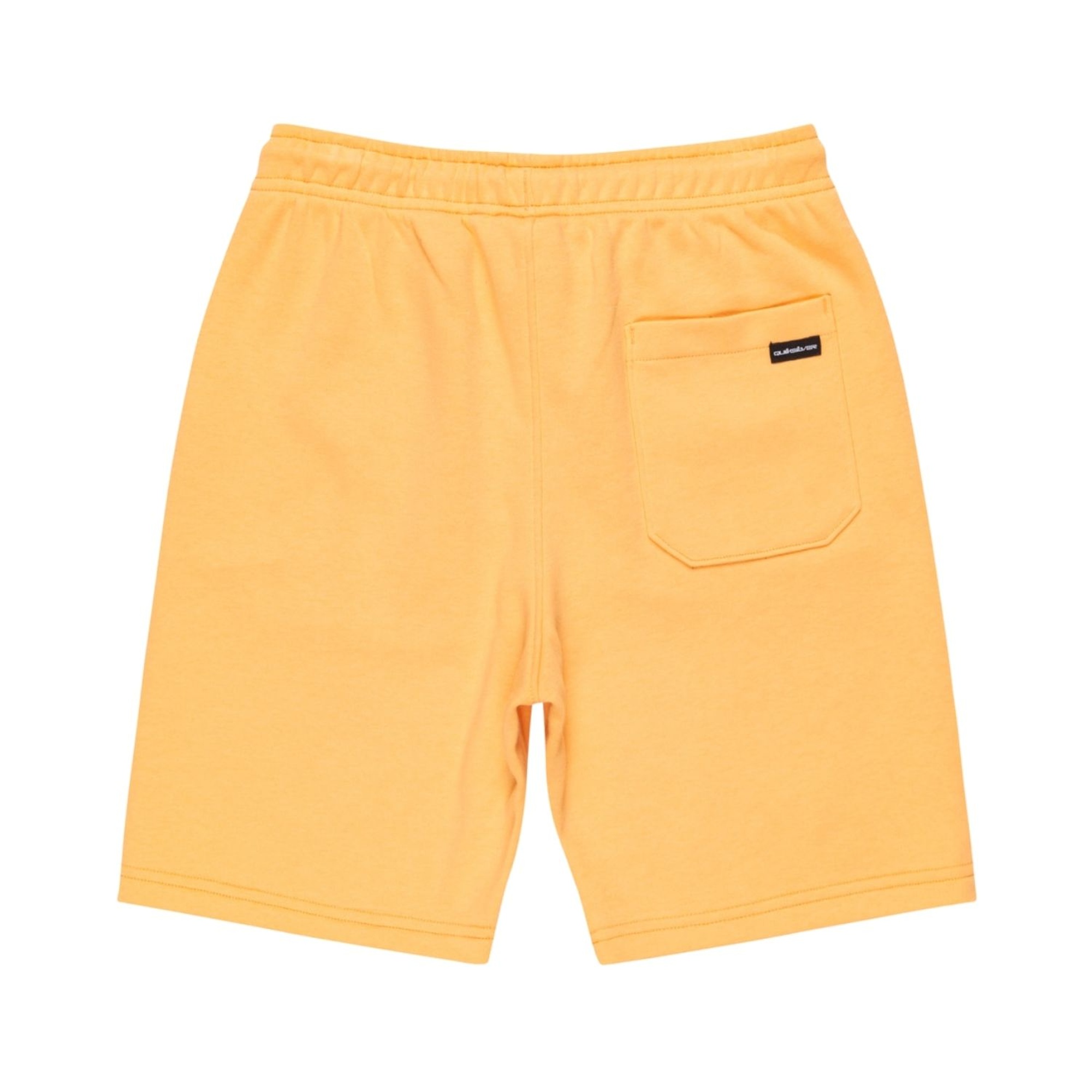 Quiksilver Easy Day Jogger Short Youth Erkek Çocuk Sarı Şort