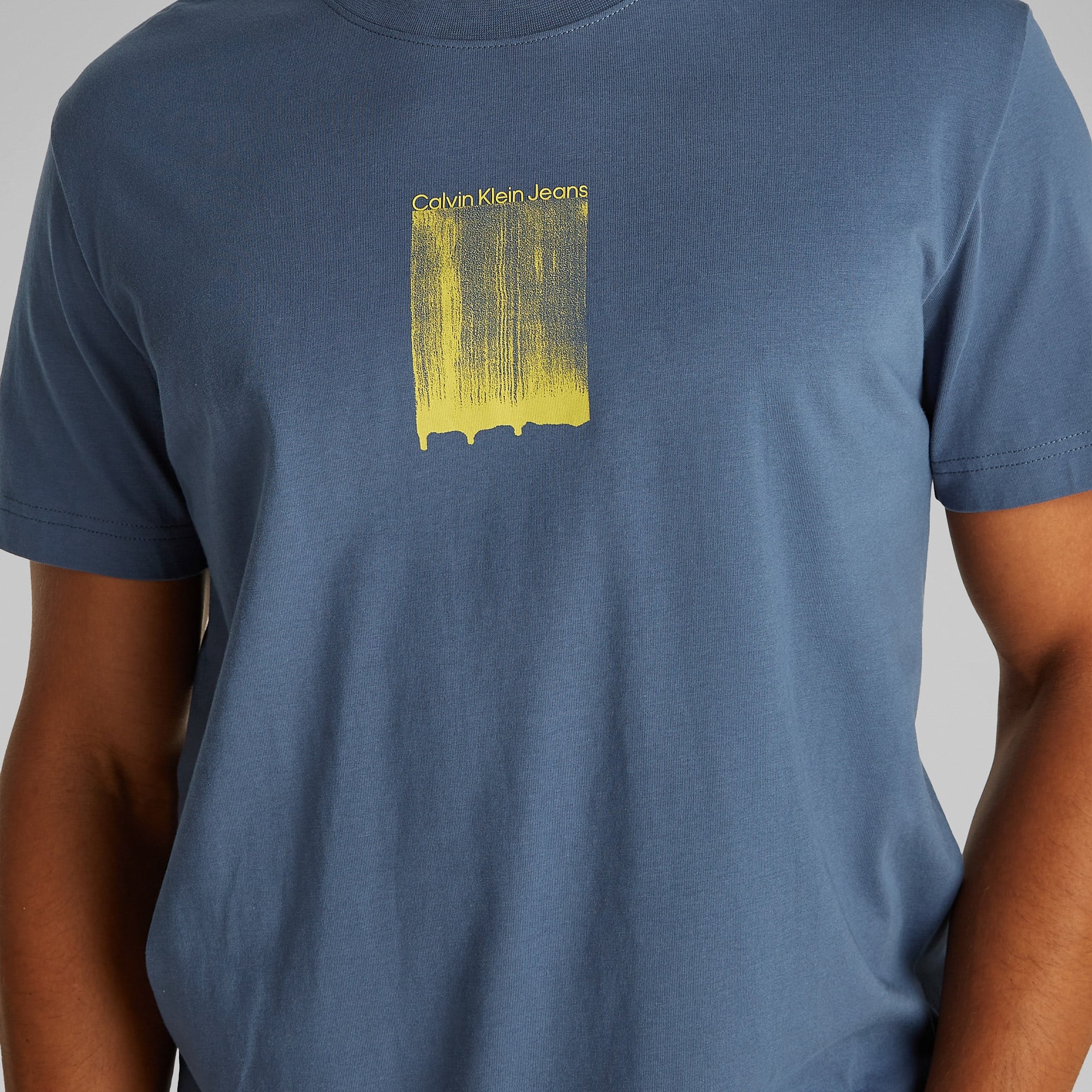 Calvin Klein Brush Stroke Graphic Erkek Mavi T-Shirt