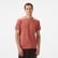 Nautica Erkek Krem Regular Fit Desenli T-Shirt