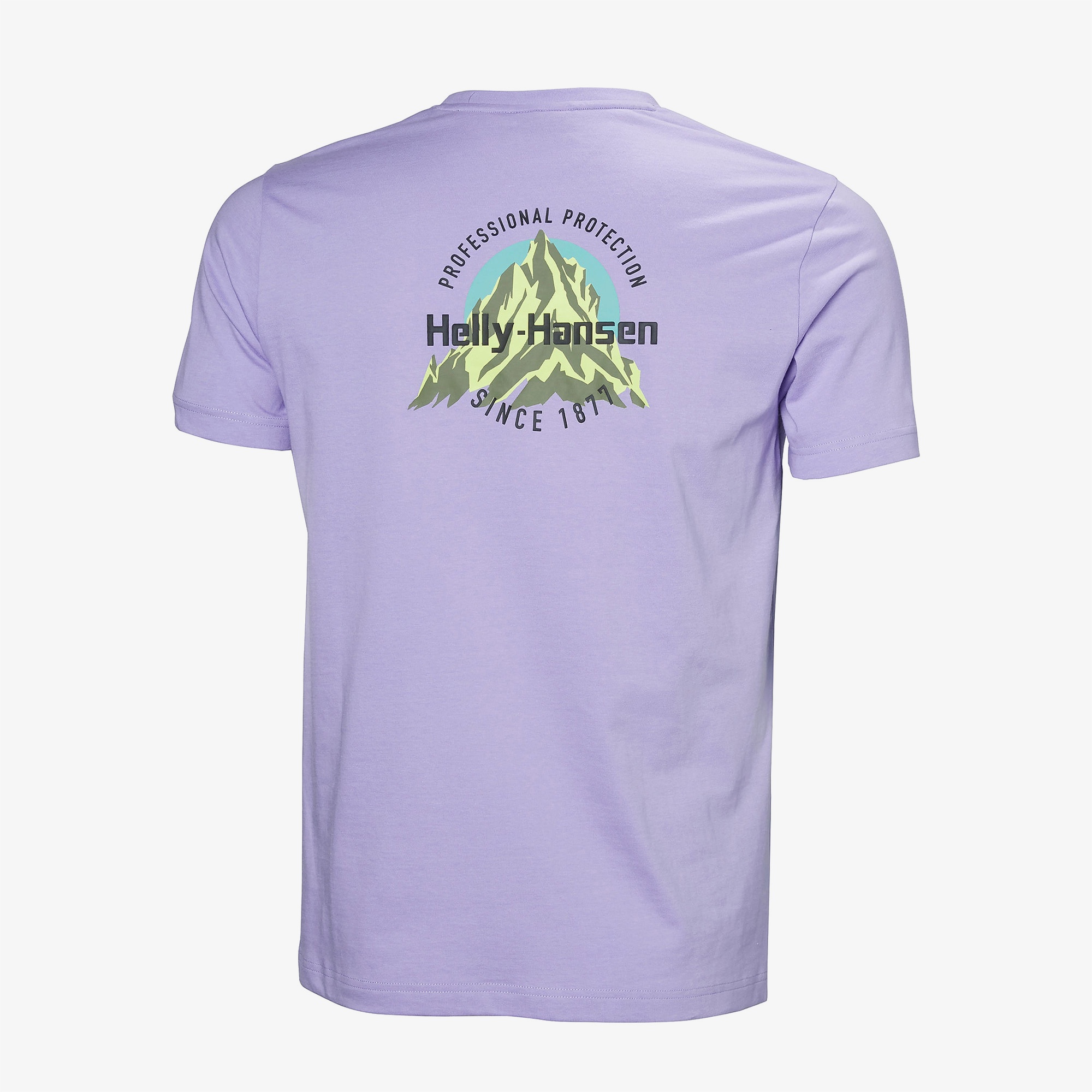 Helly Hansen Core Graphic 2.0  Erkek Mor T-shirt