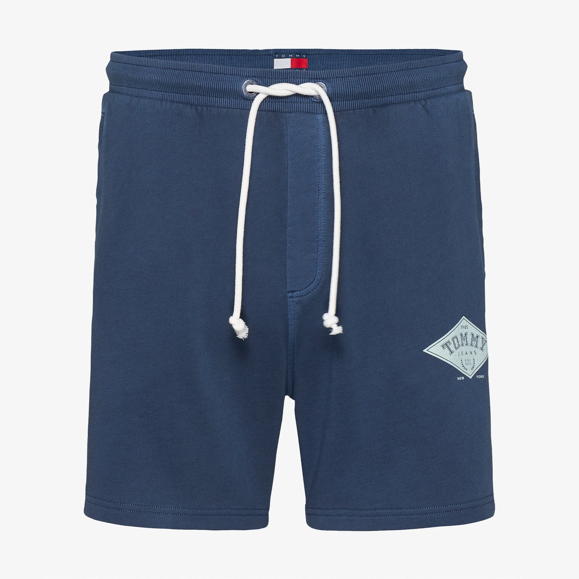 Tommy Jeans Regular Varsity Erkek Mavi Şort