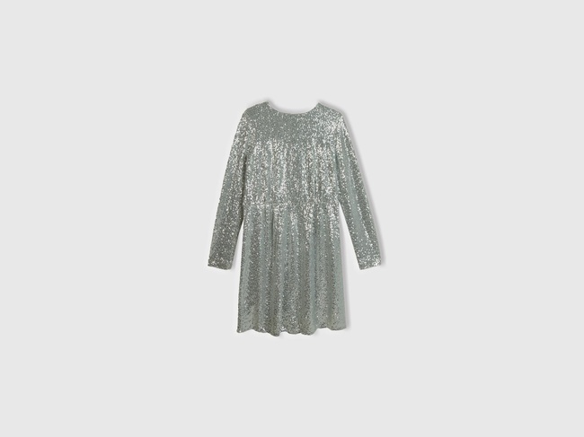  Kadın Gümüş İçi Jarse Astarlı Sırt Detaylı Uzun Kollu Simli Elbise