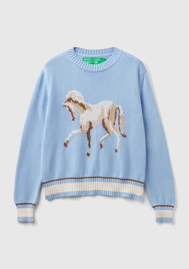  Kadın Açık Mavi %100 Pamuk Kontrast At Baskılı Bisiklet Yaka Kazak