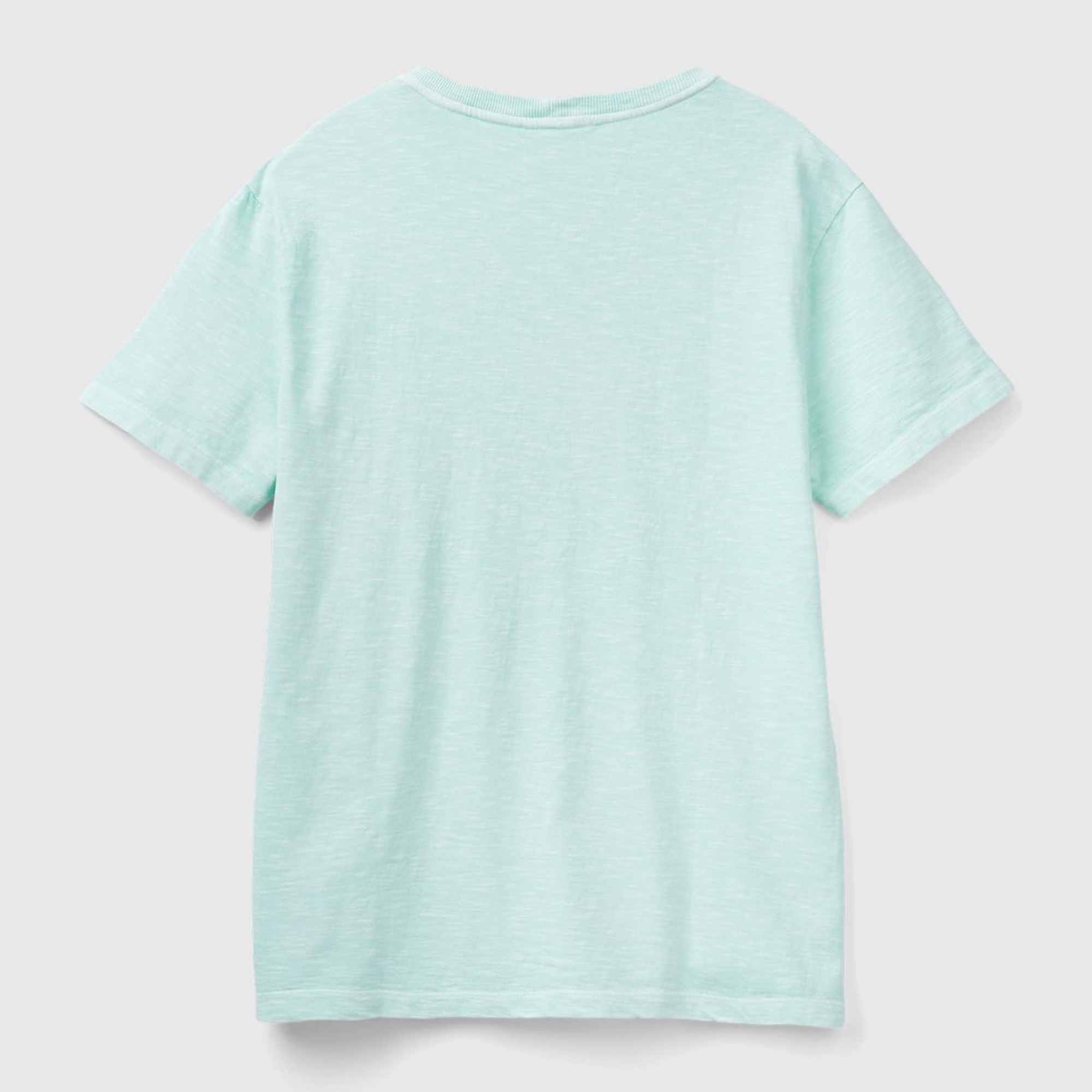 Erkek Açık Yeşil %100 Pamuk Önü ve Arkası Grafik Baskılı Bisiklet Yaka T-Shirt