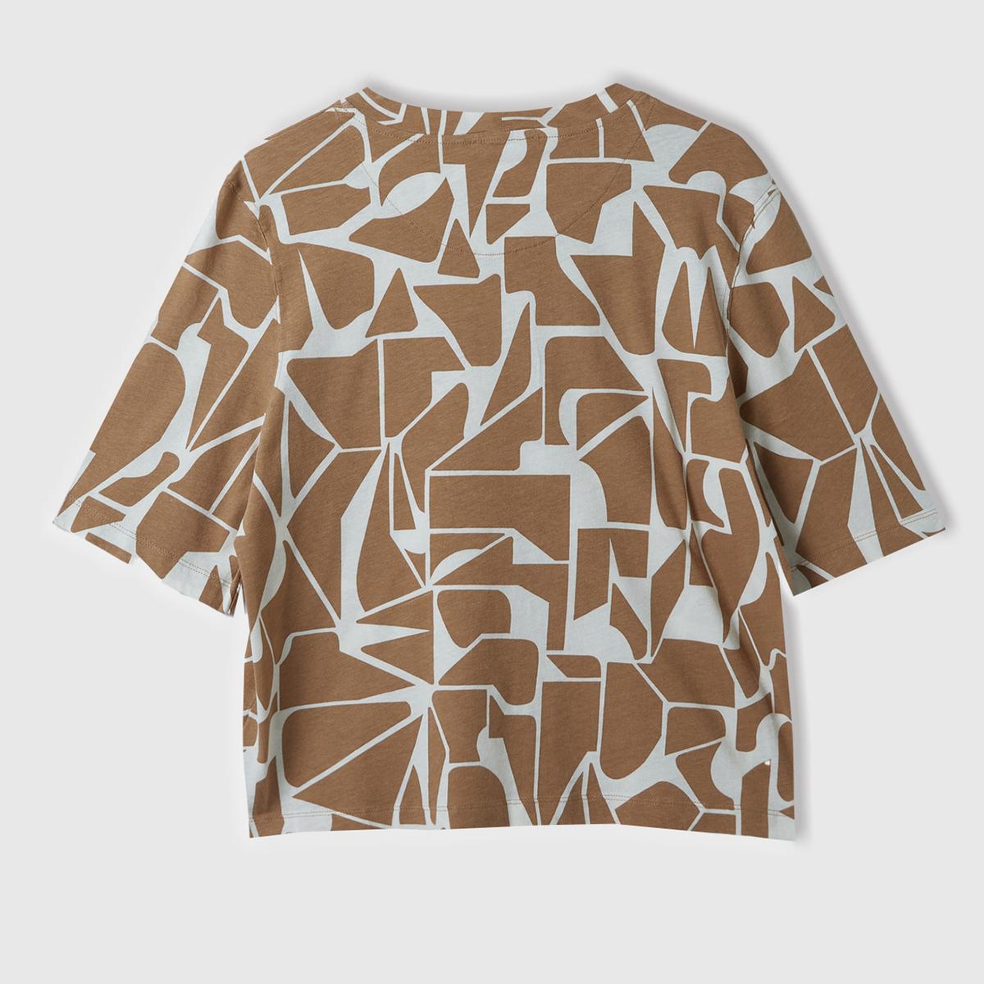 Kadın Bej Pamuk Keten Karışımlı Tamamı Baskılı Bisiklet Yaka T-Shirt