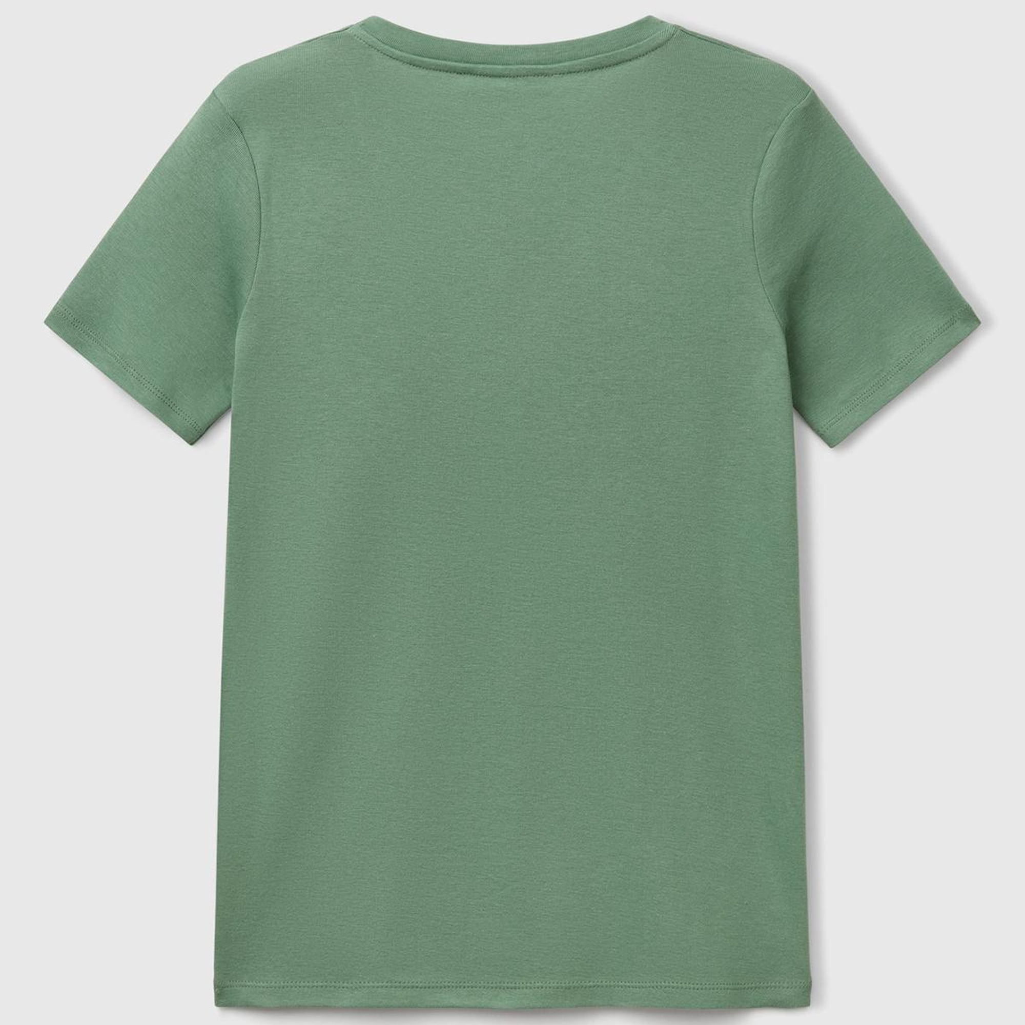 Kadın Açık Yeşil %100 Pamuk V Yaka Basic T-Shirt