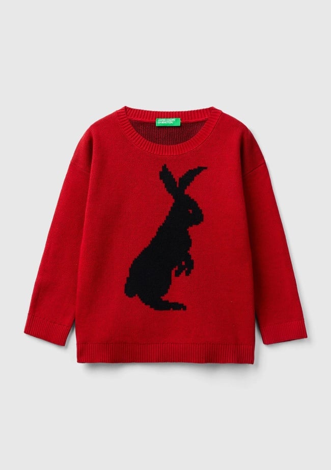  Erkek Çocuk Kırmızı Tavşan Desenli Kazak