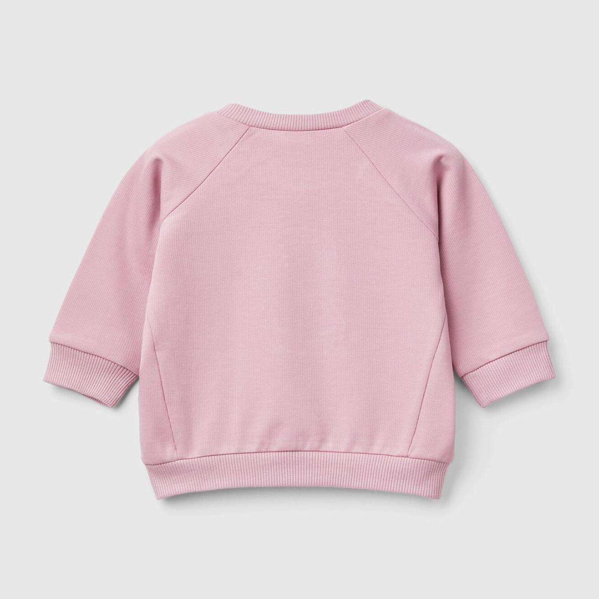 Bebek Gül Kurusu Önü Hayvan Motifli Bisiklet Yaka Reglan Kol Sweatshirt