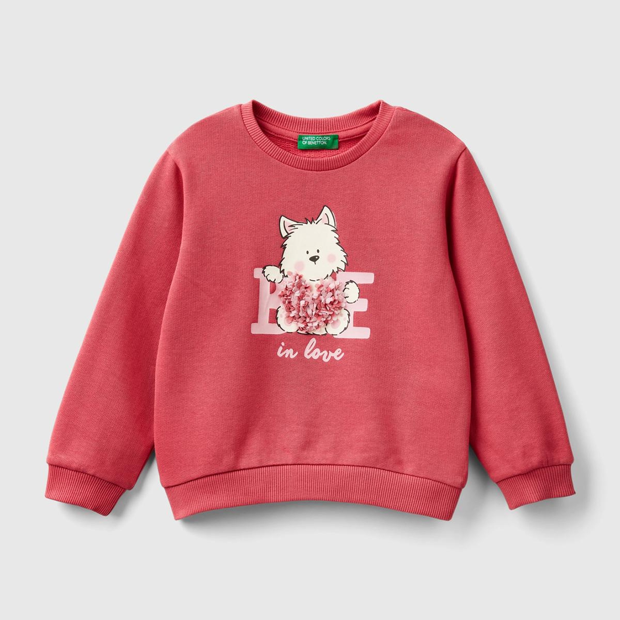 Kız Çocuk Gül Kurusu Önü İşlemeli Ribana Detaylı Normal Kesim Bisiklet Yaka Sweatshirt