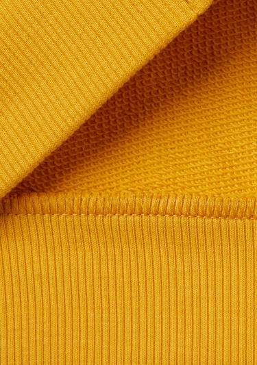  Erkek Çocuk Hardal Sarı Logo Baskılı Cepli Fermuarlı Dik Yaka Sweatshirt