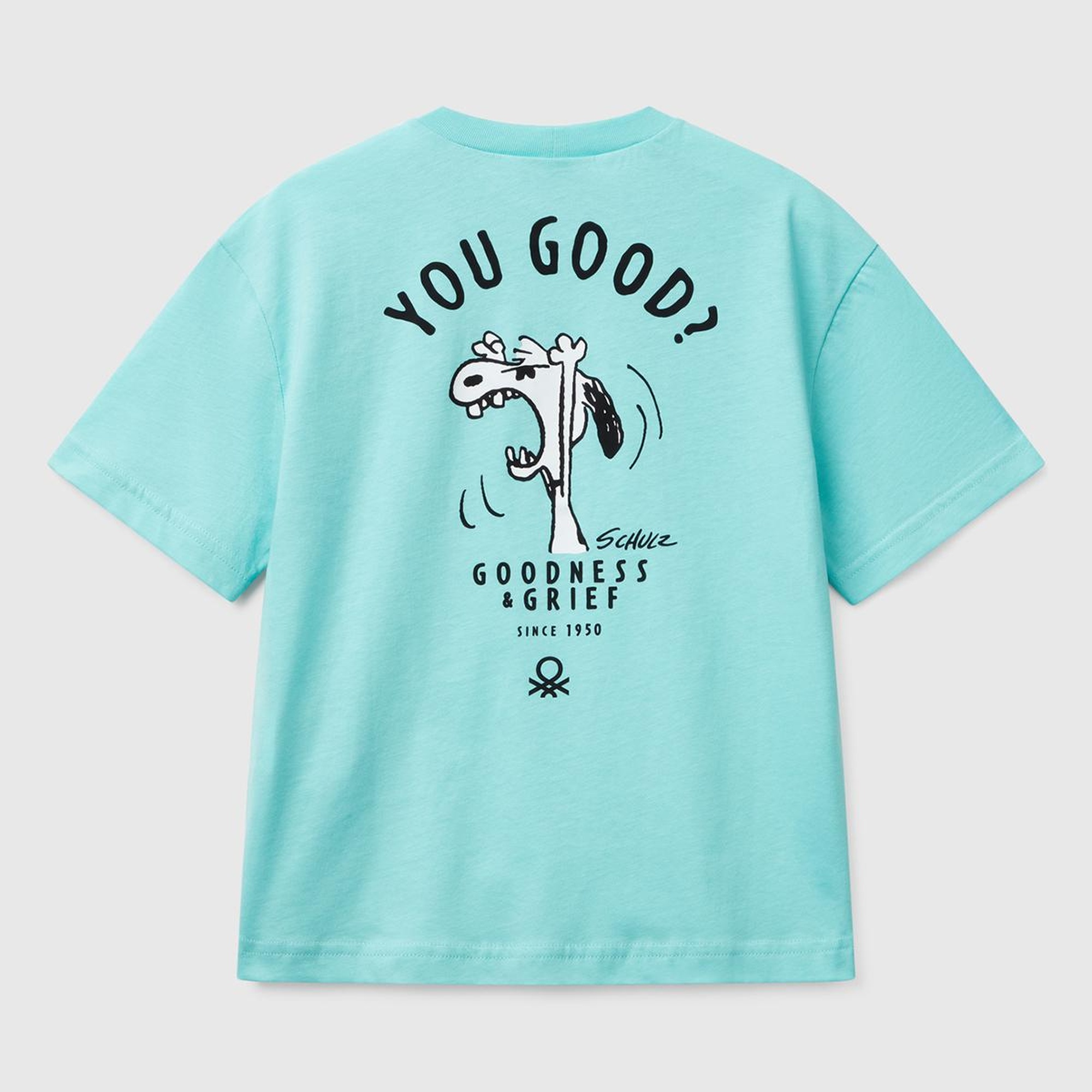 Erkek Çocuk Su Yeşili Peanuts Baskılı T-Shirt