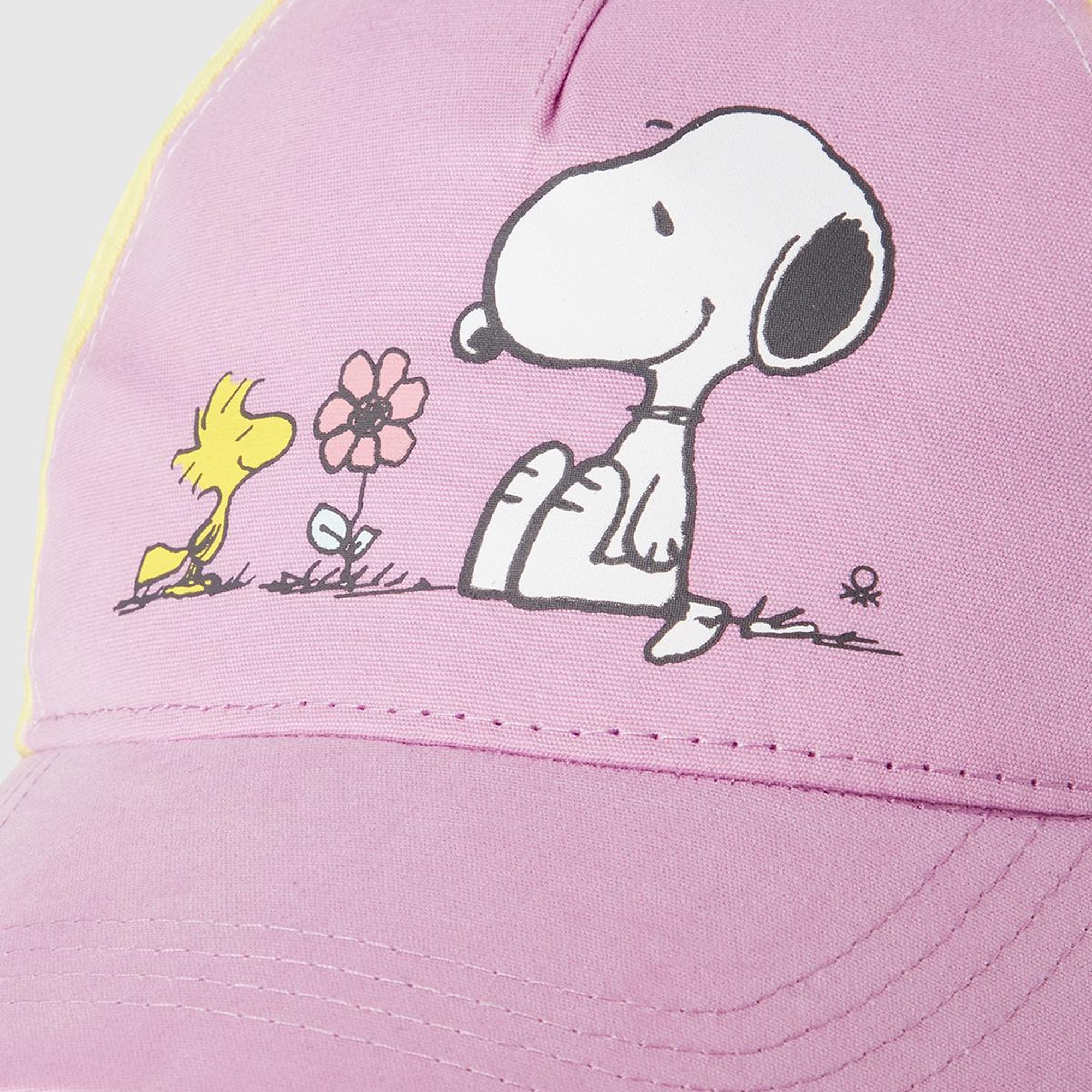 Erkek Çocuk Lila Peanuts Baskılı Renk Bloklu Kep Şapka