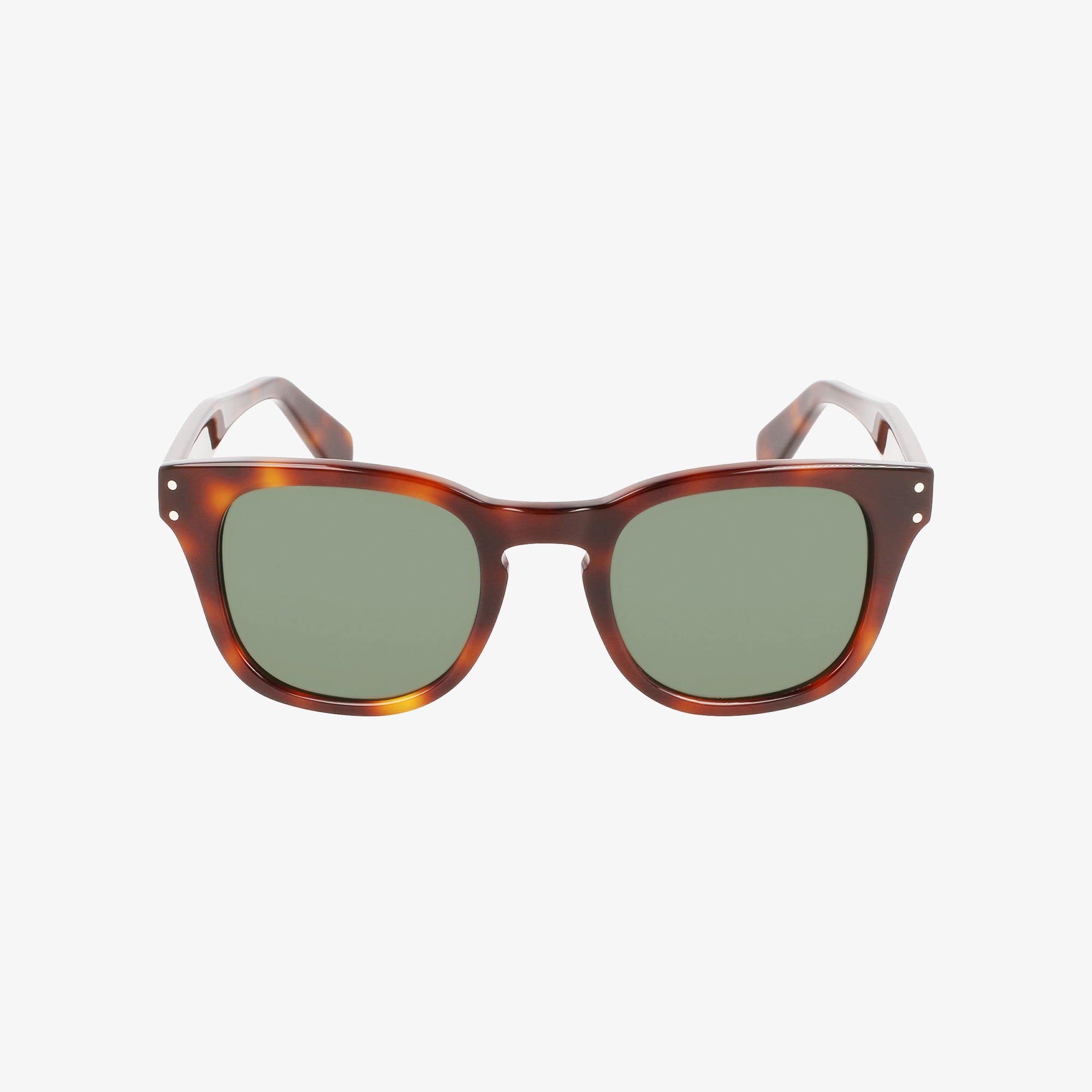 Salvatore Ferragamo Erkek Kahverengi Güneş Gözlüğü