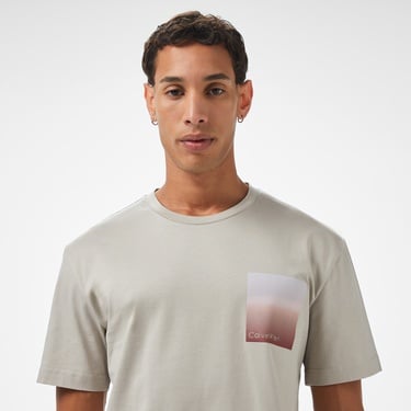  Calvin Klein Ombre Logo Erkek Gri T-Shirt