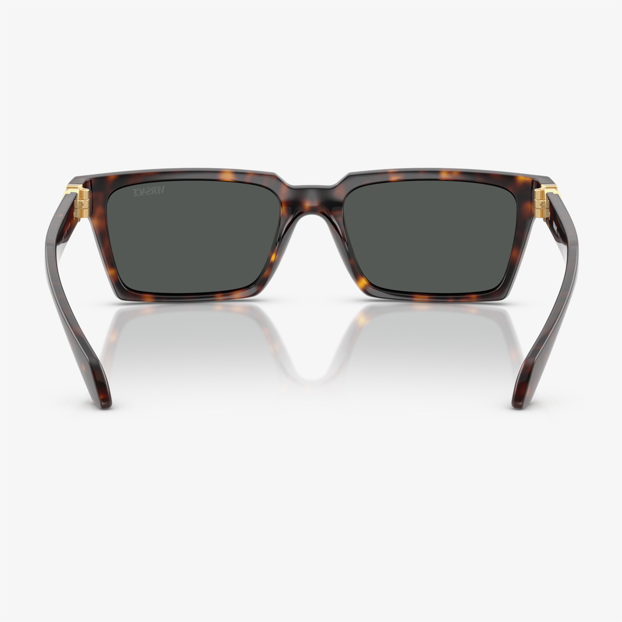 Versace VE4490U Erkek Kahverengi Güneş Gözlüğü