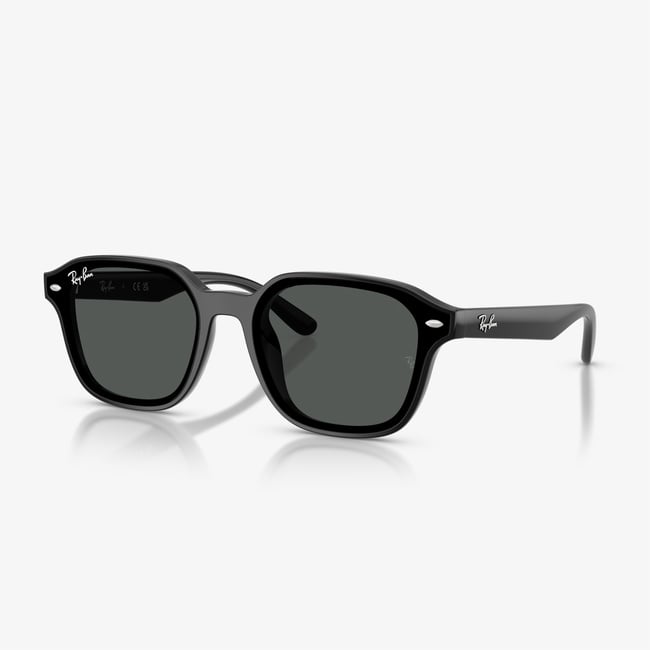  Ray-Ban RB4458D Unisex Siyah Güneş Gözlüğü