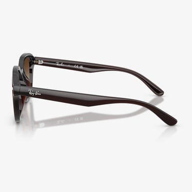  Ray-Ban RB4458D Unisex Kahverengi Güneş Gözlüğü