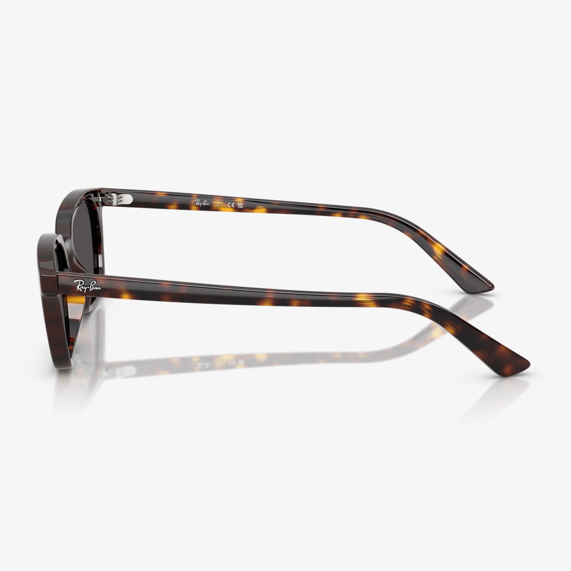 Ray-Ban RB4456 Unisex Kahverengi Güneş Gözlüğü