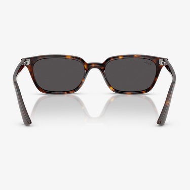  Ray-Ban RB4456 Unisex Kahverengi Güneş Gözlüğü