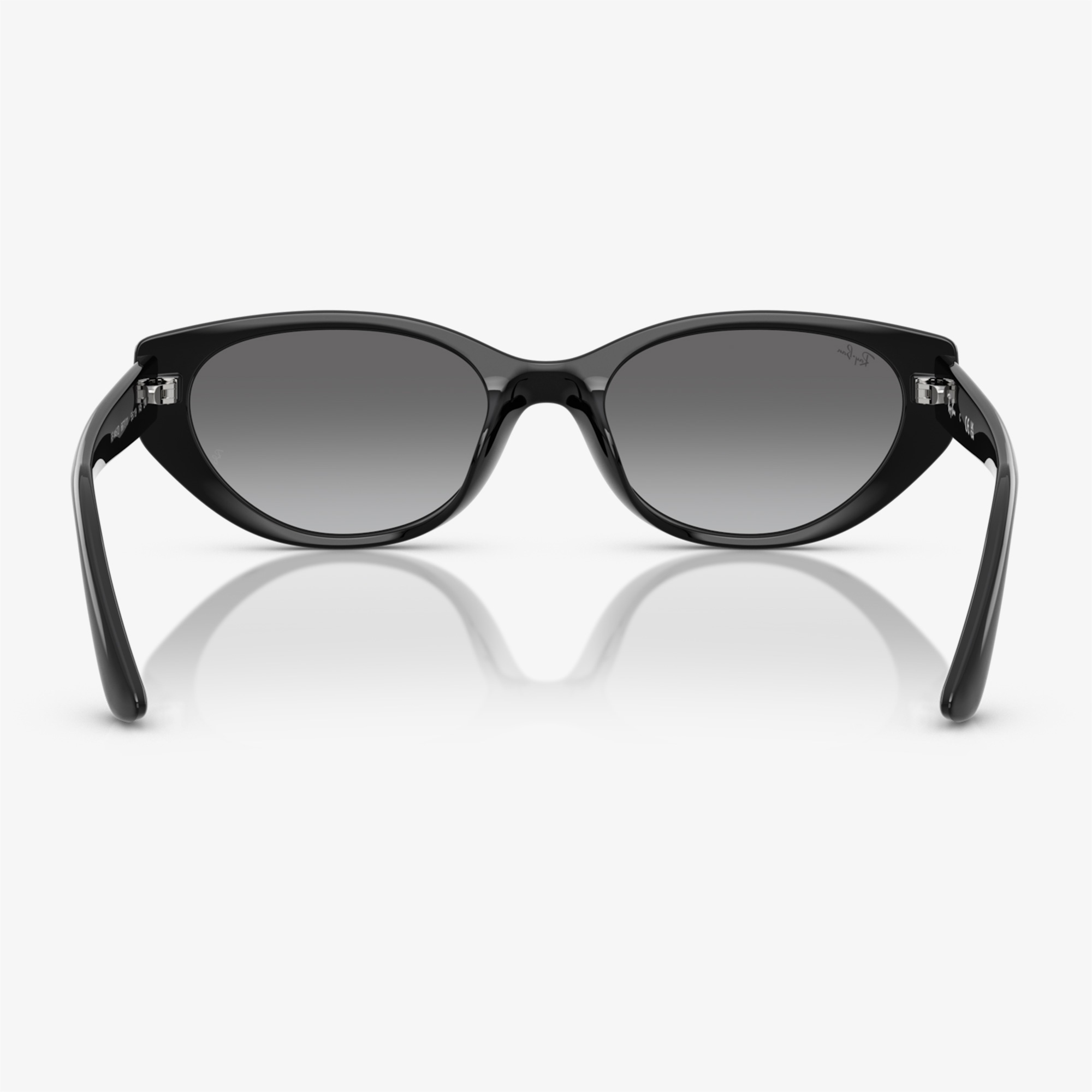 Ray-Ban RB4457D Unisex Siyah Güneş Gözlüğü