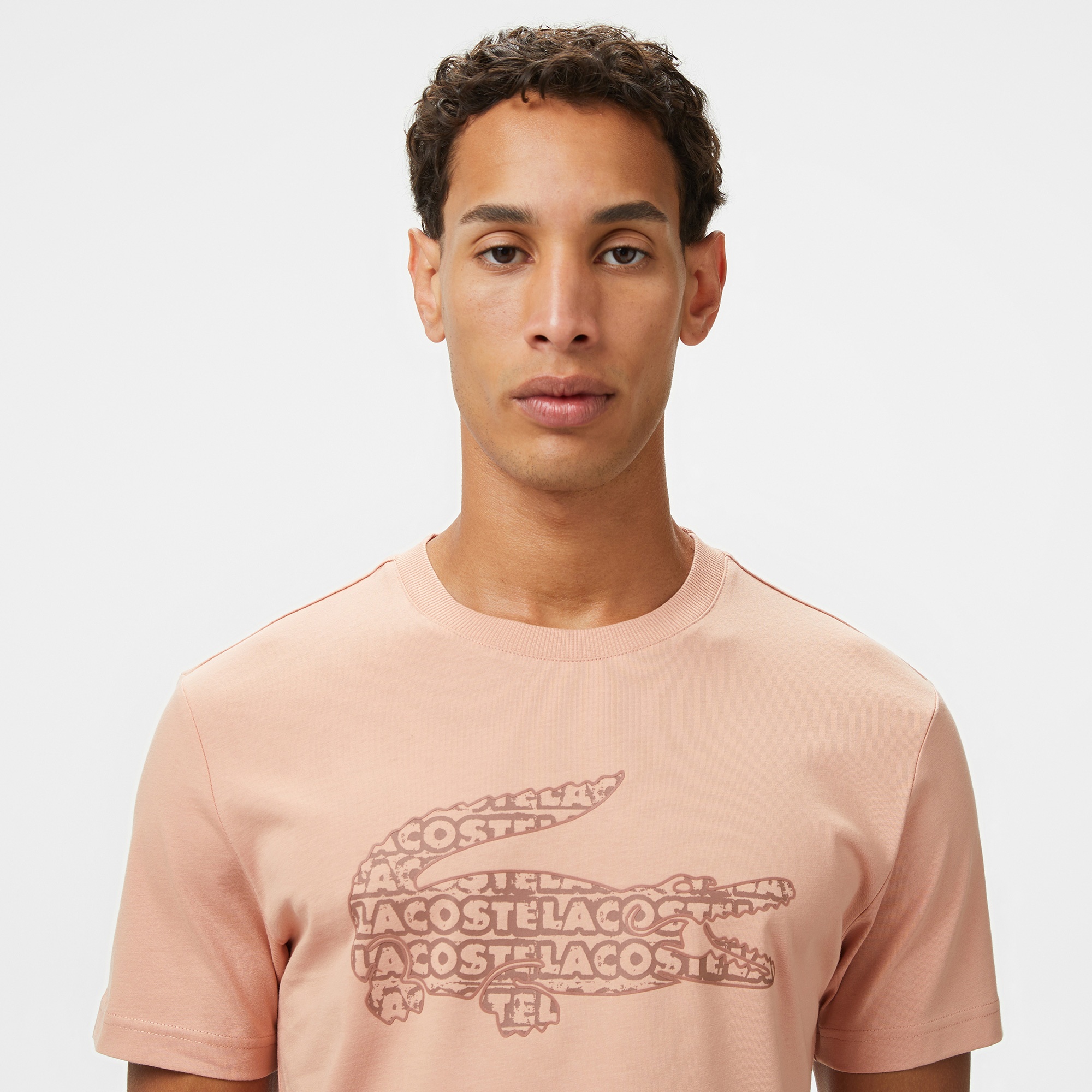 Lacoste Erkek Regular Fit Bisiklet Yaka Baskılı Açık Kahverengi T-Shirt