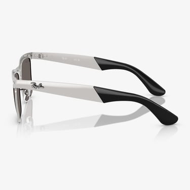  Ray-Ban RB3875 Unisex Gümüş Güneş Gözlüğü