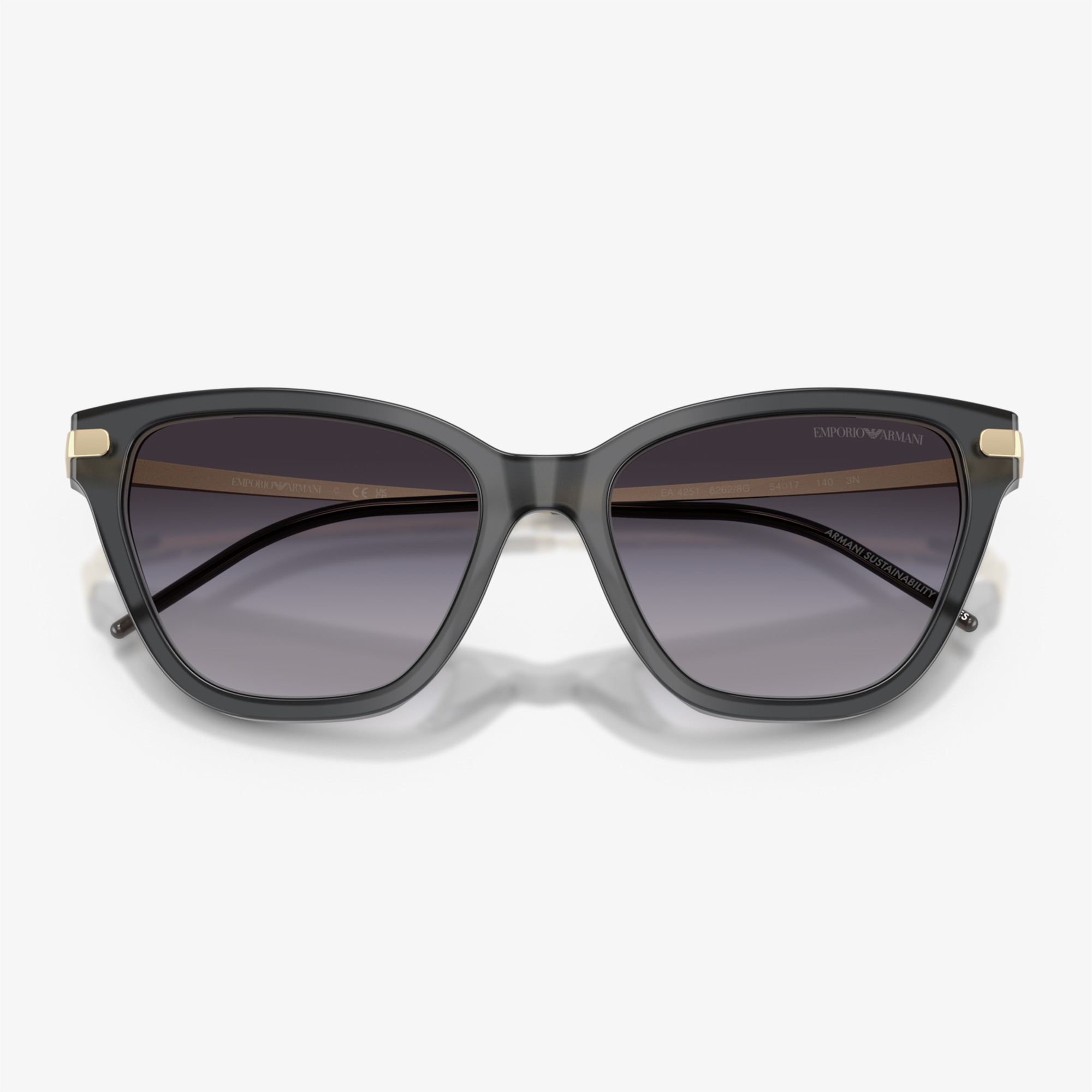 Emporio Armani EA4251 Kadın Siyah Güneş Gözlüğü