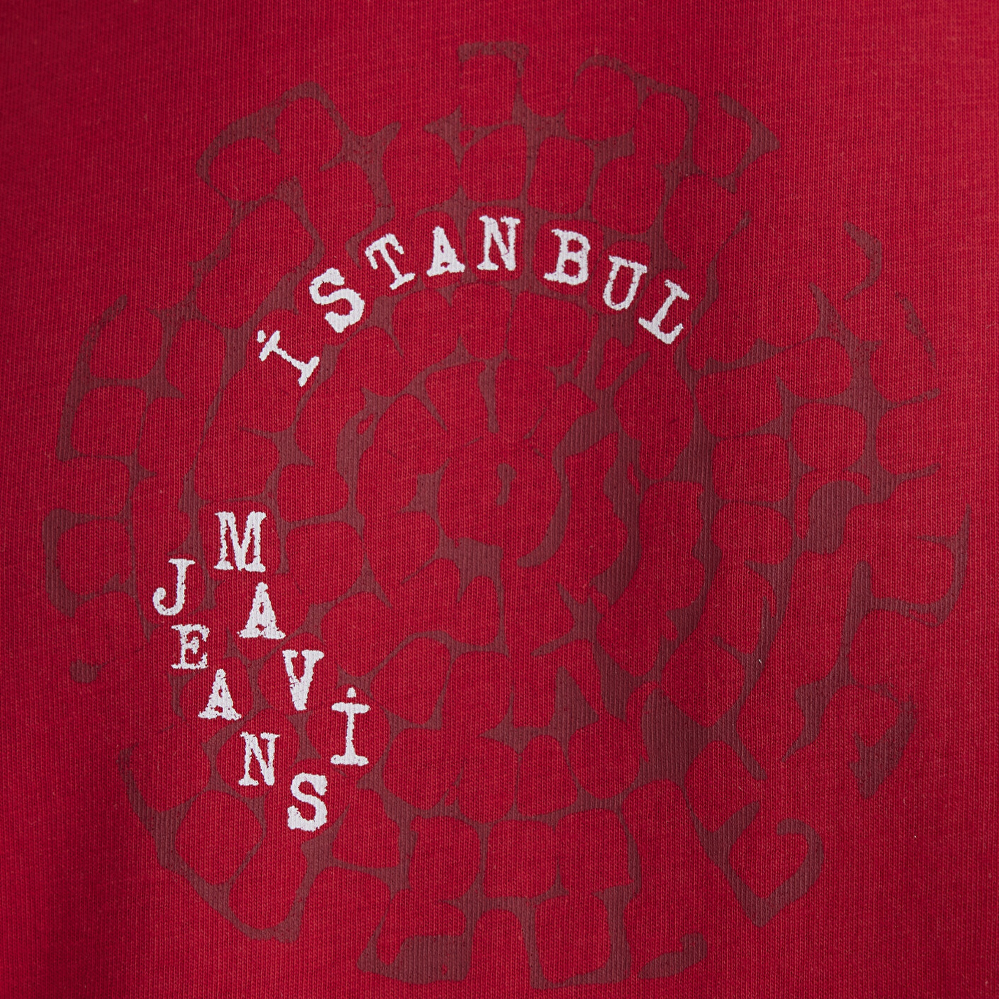 Mavi İstanbul Baskılı Kırmızı Tişört Loose Fit / Bol Rahat Kesim 0612996-70471