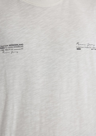  Mavi Baskılı Ekru Tişört Loose Fit / Bol Rahat Kesim 0612623-70057