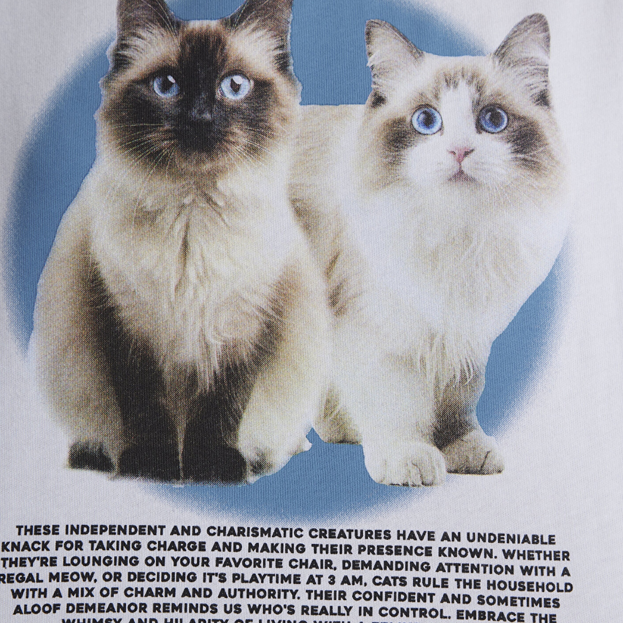 Mavi Kedi Baskılı Beyaz Tişört Crop / Kısa Kesim 1613098-620