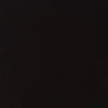  The Hundreds Bandini Erkek Siyah T-Shirt