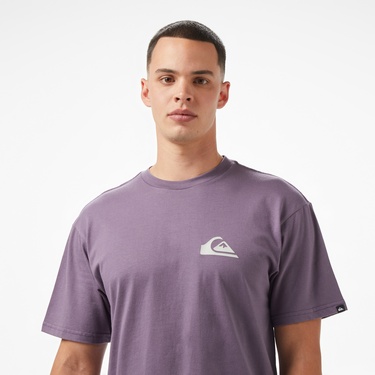  Quiksilver Ev Mini Logo Ss Erkek Mor T-Shirt
