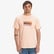Quiksilver Ev Gradient Box Ss Erkek Pembe T-Shirt