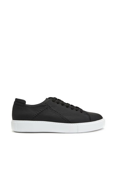  Divarese Erkek Siyah Desenli Sneaker