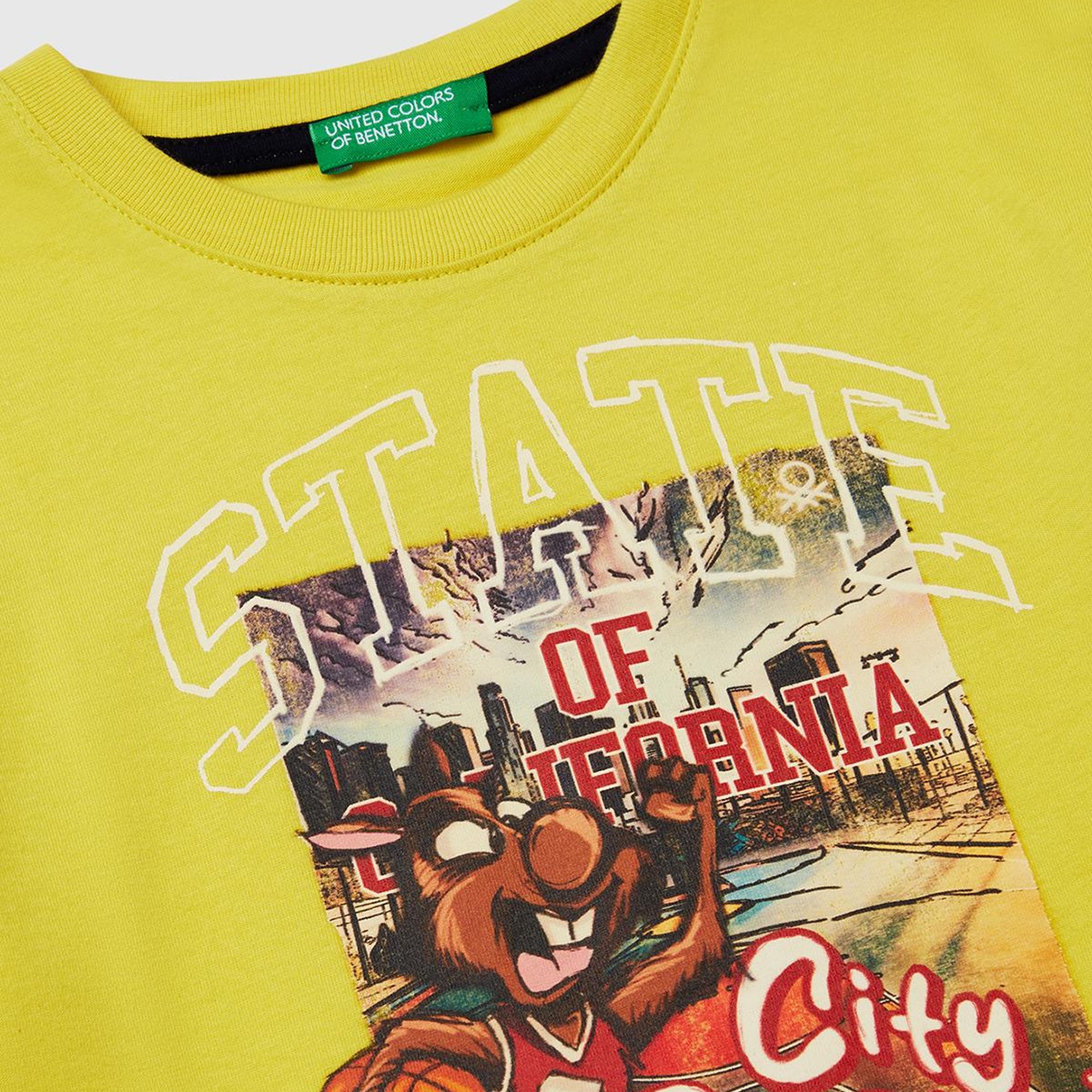 Erkek Çocuk Sarı Fotoğraf Baskılı Kolu Çizgili Oversize T-Shirt